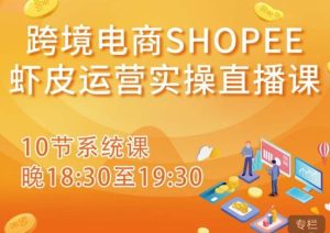 跨境电商Shopee虾皮运营实操直播课，从零开始学，入门到精通（10节系统课）-葛仙仙资源库