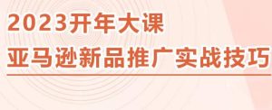 2023亚马逊新品推广实战技巧，线下百万美金课程的精简版，简单粗暴可复制，实操性强的推广手段-葛仙仙资源库