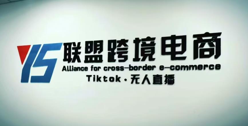YS联盟·Tiktok无人直播，不出镜不剪辑不拍摄不发货无售后的跨境短视频躺赚玩法-葛仙仙资源库