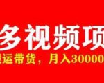 多多带货视频快速50爆款拿带货资格，搬运带货，月入30000【全套脚本+详细玩法】-葛仙仙资源库