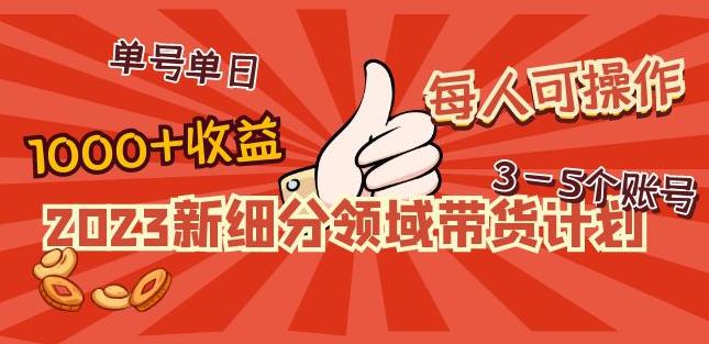 2023新细分领域带货计划：单号单日1000+收益不难，每人可操作3-5个账号-葛仙仙资源库