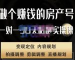 刘广标·同城房产号线上陪跑课,拍摄、剪辑、写文案、直播,做一个具有潜力价值的房产号-葛仙仙资源库