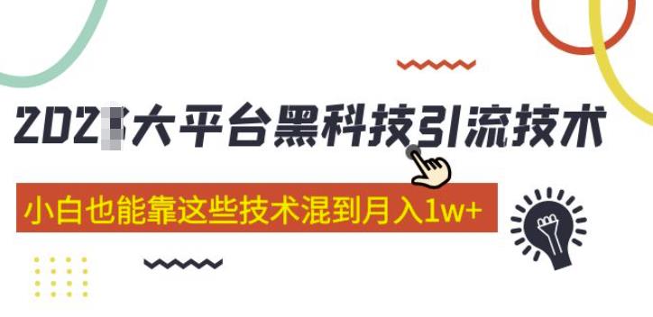 大平台黑科技引流技术，小白也能靠这些技术混到月入1w+(2022年的课程）-葛仙仙资源库