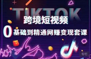 跨境短视频TIKTOK 0基础到精通网赚变现套课,跨境短视频独立站带货变现技巧-葛仙仙资源库
