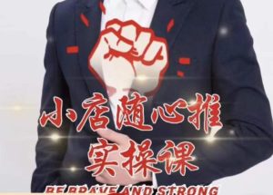 随心推线上课，小店随心推的投放逻辑，投放技巧，快速打标签-葛仙仙资源库