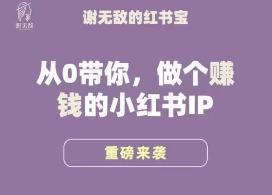 谢无敌·小红书运营大宝典，从0带你做个赚钱的小红书IP-葛仙仙资源库