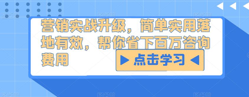 营销实战升级，简单实用落地有效，帮你省下百万咨询费用-葛仙仙资源库
