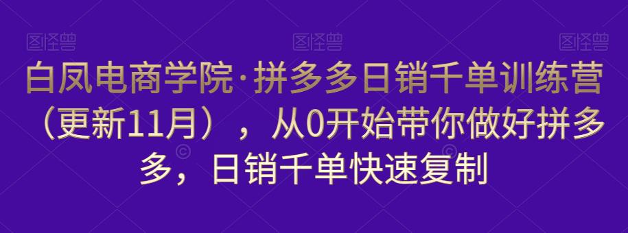 白凤电商学院·拼多多日销千单训练营，从0开始带你做好拼多多，日销千单快速复制（更新知2023年3月）-葛仙仙资源库