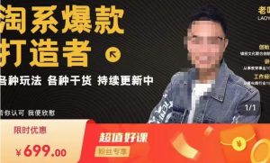 锋投老叶全店动销,淘系干货汇总,各种玩法,淘系爆款打造者-葛仙仙资源库