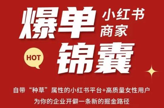 无畏·小红书商家爆单锦囊，掌握小红书各大规则，快速精准抢占行业和市场-葛仙仙资源库