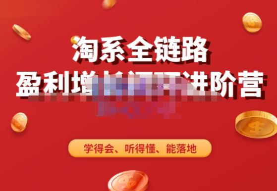 淘系全链路盈利增长闭环进阶营，融合全店动销，学得会、听得懂、能落地！-葛仙仙资源库
