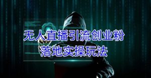 外面收费3980的无人直播引流创业粉落地实操玩法,单日引100+精准创业粉-葛仙仙资源库