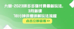 大炮·2023拼多多强付费最新玩法，3月新课​78分钟详细讲解玩法流程-葛仙仙资源库