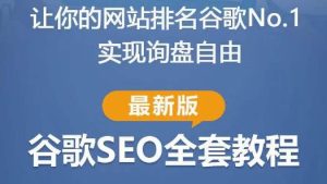 谷歌SEO实战教程：如何让你的网站在谷歌排名第一，内容从入门到高阶，适合个人及团队-葛仙仙资源库