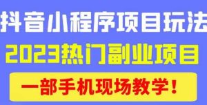 抖音小程序9.0新技巧,2023热门副业项目,动动手指轻松变现-葛仙仙资源库