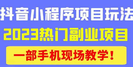 抖音小程序9.0新技巧，2023热门副业项目，动动手指轻松变现-葛仙仙资源库