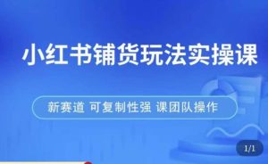 小红书铺货玩法实操课，流量大，竞争小，非常好做，新赛道，可复制性强，可团队操作-葛仙仙资源库