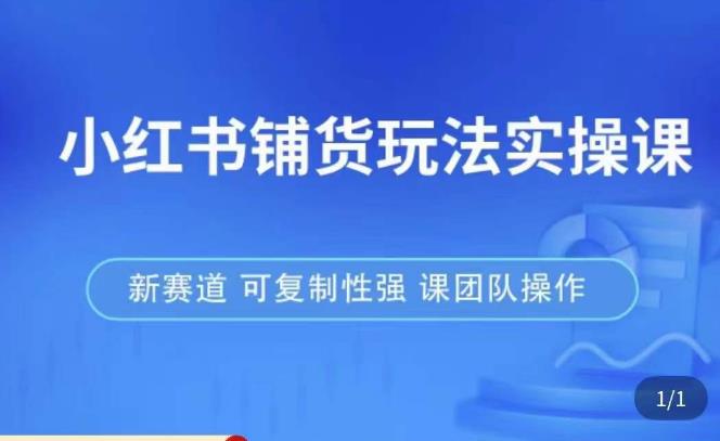 小红书铺货玩法实操课，流量大，竞争小，非常好做，新赛道，可复制性强，可团队操作-葛仙仙资源库