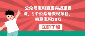 公众号涨粉变现实战项目课，5个公众号变现项目，实测涨粉23万-葛仙仙资源库
