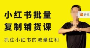 张宾·小红书批量复制铺货课,小红书0-1快速起号变现玩法,抓住小红书的流量红利(更新2023年3月)-葛仙仙资源库