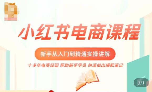 小红书电商新手入门到精通实操课，从入门到精通做爆款笔记，开店运营-葛仙仙资源库