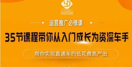 35节课程带你从入门成长为资深车手，让系统学习直通车成为可能，帮你实现直通车的低花费高产出-葛仙仙资源库