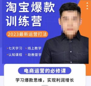 爱上黄昏·淘宝爆款训练营，2023最新运营打法，学习爆款思维，实现利润增长-葛仙仙资源库