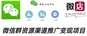 微信群码资源渠道内循环推广变现项目,多种变现方式,打通你的管道收益-葛仙仙资源库