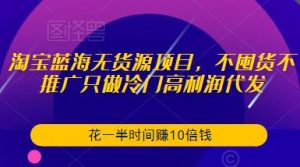 淘宝蓝海无货源项目,不囤货不推广只做冷门高利润代发,花一半时间赚10倍钱-葛仙仙资源库