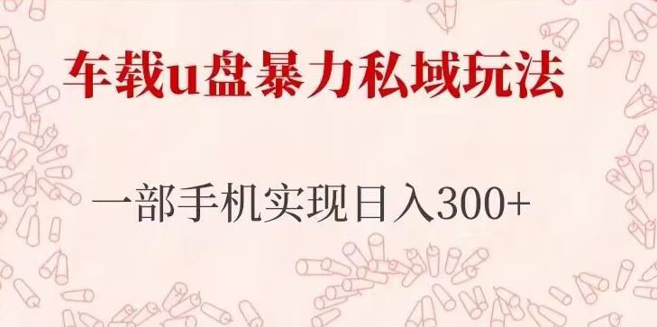 车载u盘暴力私域玩法，长期项目，仅需一部手机实现日入300+-葛仙仙资源库