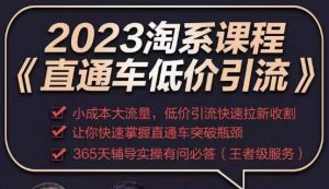 2023直通车低价引流玩法课程，小成本大流量，低价引流快速拉新收割，让你快速掌握直通车突破瓶颈-葛仙仙资源库