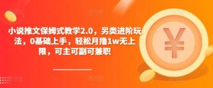 小说推文保姆式教学2.0，另类进阶玩法，0基础上手，轻松月撸1w无上限，可主可副可兼职-葛仙仙资源库