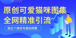 黑科技纯原创可爱猫咪图片，全网精准引流，实操5个VX号被加频繁-葛仙仙资源库