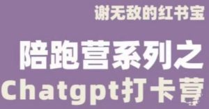 谢无敌ChatGPT打卡营,教你更好地使用ChatGPT来提高工作效率-葛仙仙资源库