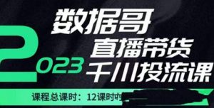 数据哥2023直播电商巨量千川付费投流实操课,快速掌握直播带货运营投放策略-葛仙仙资源库