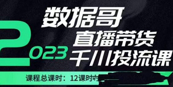 数据哥2023直播电商巨量千川付费投流实操课，快速掌握直播带货运营投放策略-葛仙仙资源库