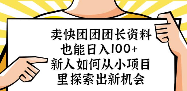 卖快团团团长资料也能日入100+新人如何从小项目里探索出新机会-葛仙仙资源库