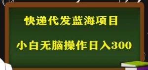 2023最新蓝海快递代发项目，小白零成本照抄也能日入300+-葛仙仙资源库