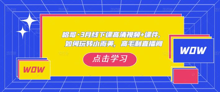 哈哥·3月线下实操课高清视频+课件，如何玩转小而美，高毛利直播间-葛仙仙资源库