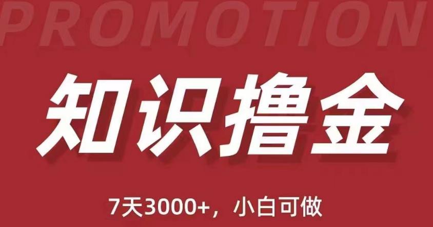 抖音知识撸金项目：简单粗暴日入1000+执行力强当天见收益(教程+资料)-葛仙仙资源库