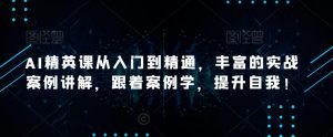 AI精英课从入门到精通,丰富的实战案例讲解,跟着案例学,提升自我!-葛仙仙资源库