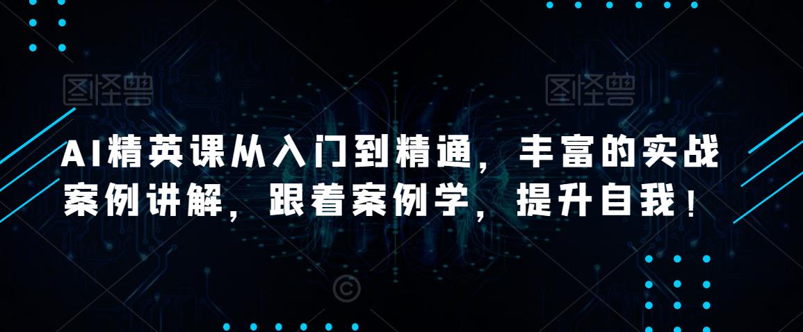 AI精英课从入门到精通，丰富的实战案例讲解，跟着案例学，提升自我！-葛仙仙资源库