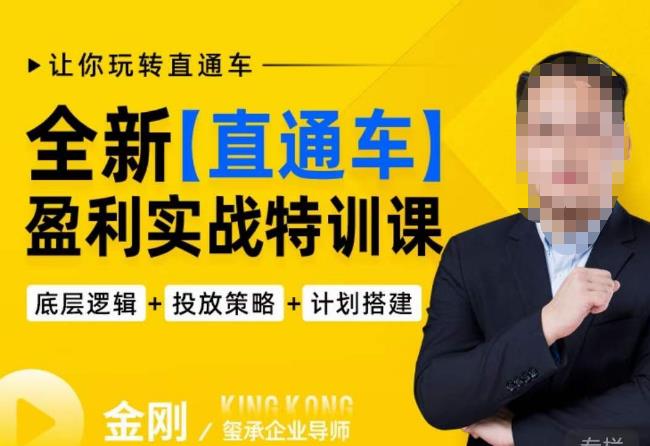 玺承·全新直通车盈利实战特训课，从​底层逻辑详细拆解，从底层，策略到搭建，让你玩转直通车-葛仙仙资源库