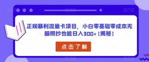 正规暴利流量卡项目,小白零基础零成本无脑照抄也能日入300+【揭秘】-葛仙仙资源库