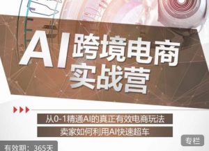 白龙老师·AI跨境电商实战营:从0-1精通Al的真正有效电商玩法,卖家如何利用Al快速超车-葛仙仙资源库