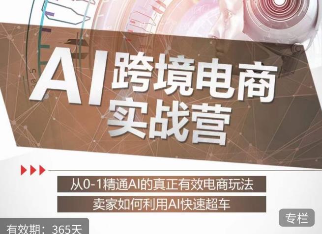 白龙老师·AI跨境电商实战营：从0-1精通Al的真正有效电商玩法，卖家如何利用Al快速超车-葛仙仙资源库