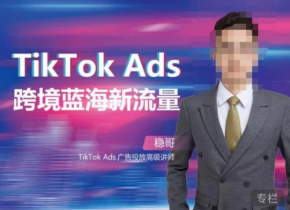 稳哥·如何投出高ROI的TikTok广告，开拓独立站卖家流量新蓝海-葛仙仙资源库