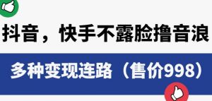 抖音快手不露脸撸音浪项目,多种变现连路(售价998)-葛仙仙资源库