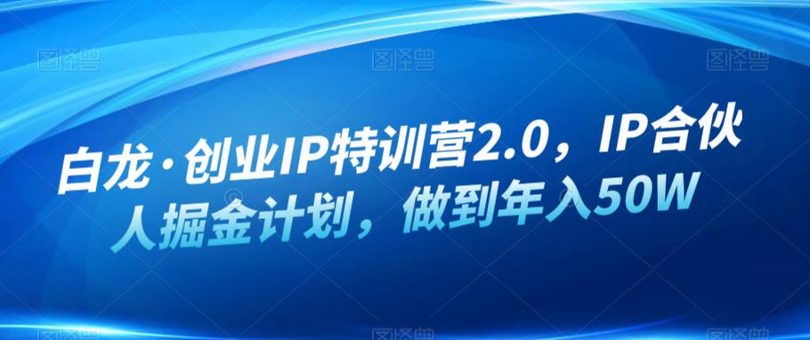 白龙·创业IP特训营2.0，IP合伙人掘金计划，做到年入50W-葛仙仙资源库