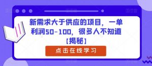新需求大于供应的项目,一单利润50-100,很多人不知道【揭秘】-葛仙仙资源库